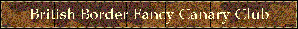 British Border Fancy Canary Club